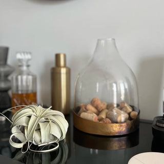 Glass Coche w/ Copper Tray