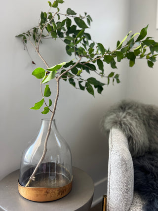 Glass Coche w/ Copper Tray